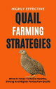 Highly Effective Quail Farming Strategies: What It Takes To Raise Healthy, Strong And Highly Productive Quails【電子書籍】 Rachael B
