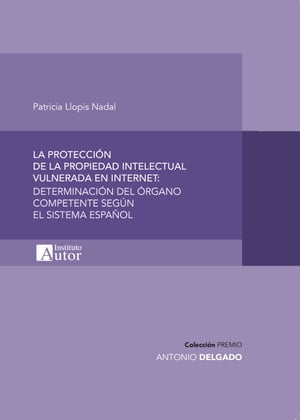 La protección de la propiedad intelectual vulnerada en internet