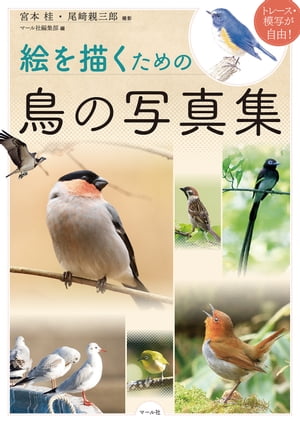 絵を描くための鳥の写真集【電子書籍】[ 宮本桂 ]