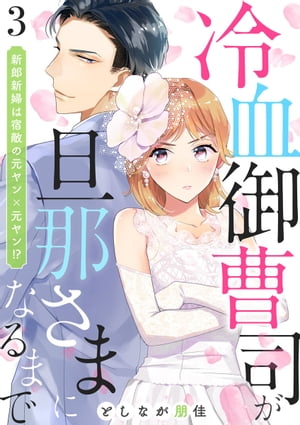 冷血御曹司が旦那さまになるまで〜新郎新婦は宿敵の元ヤン×元ヤン!?〜3