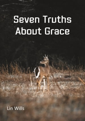Seven Truths About Grace