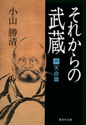 それからの武蔵（六）天命篇