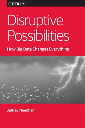 Disruptive Possibilities: How Big Data Changes Everything