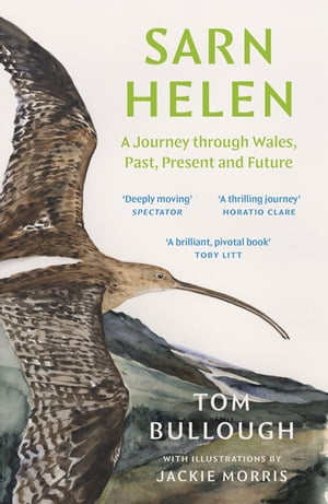 Sarn Helen A Journey Through Wales, Past, Present and Future【電子書籍】[ Tom Bullough...