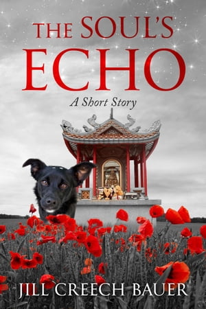 The Soul's Echo: A Short Story