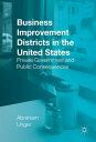 Business Improvement Districts in the United States Private Government and Public Consequences