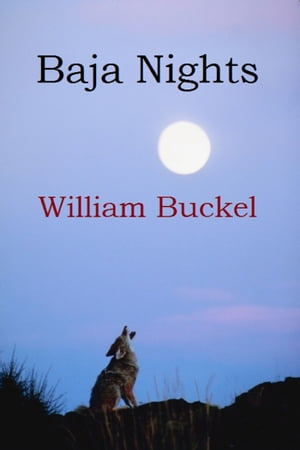 Baja Nights