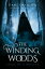 The Winding Woods: Tales of a BoggleŻҽҡ[ Dani Swanson ]