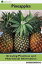 Pineapples: Growing Practices and Nutritional InformationŻҽҡ[ Agrihortico CPL ]