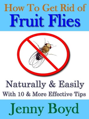 How To Get Rid of Fruit Flies: Naturally & Easily