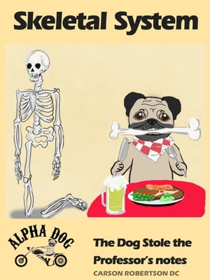 Skeletal System: The Dog Stole the Professor's N