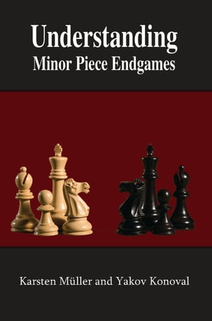 Understanding Minor Piece Endgames