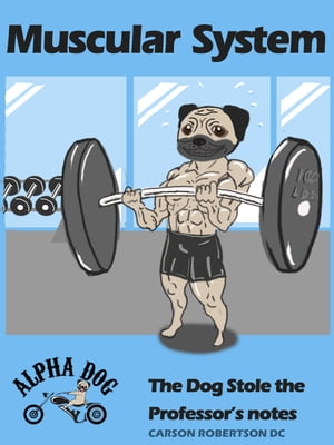 Muscular System: The Dog Stole