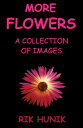 ŷKoboŻҽҥȥ㤨More Flowers: A Collection Of ImagesŻҽҡ[ Rik Hunik ]פβǤʤ131ߤˤʤޤ