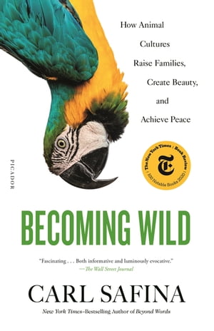 Becoming Wild How Animal Cultures Raise Families, Create Beauty, and Achieve Peace【電子書籍】[ Carl Safina ]