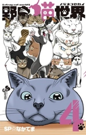 野良猫世界