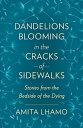 Dandelions Blooming in the Cracks of Sidewalks Stories from the Bedside of the Dying