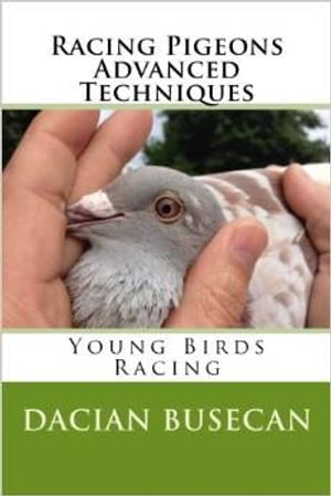 Racing Pigeons Advanced Techniques - Young Birds Racing