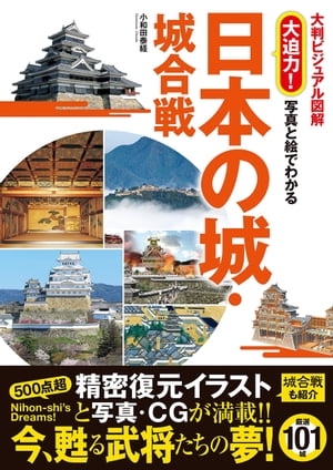 大判ビジュアル 図解 大迫力！ 写真と絵でわかる 日本の城・城合戦