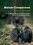 Mahale Chimpanzees