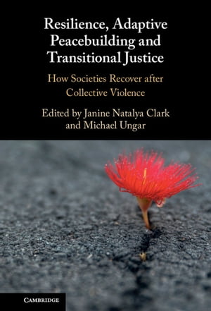 Resilience, Adaptive Peacebuilding and Transitional Justice How Societies Recover after Collective Violence