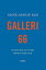 Galleri 66