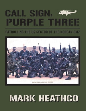 Call Sign: Purple Three: Patrolling the US Secto