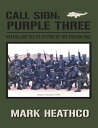 Call Sign: Purple Three: Patrolling the US Secto