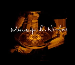 Microscope des Nombres