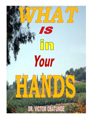 WHAT IS IN YOUR HANDS【電子書籍】[ victor 