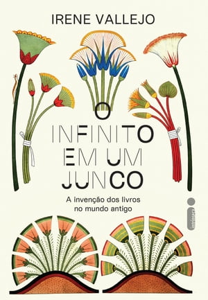 O infinito em um junco