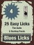 Blues Licks Vol. 4