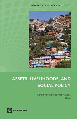 Assets, Livelihoods, And Social Policy