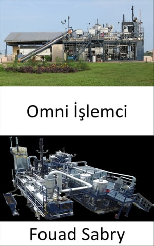 Omni İşlemci