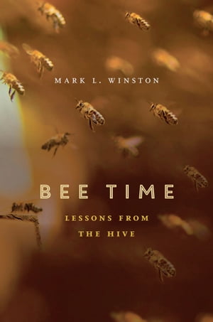 Bee Time