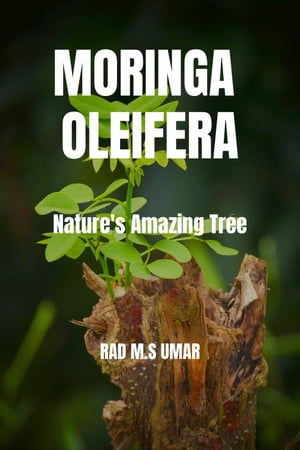 Moringa Oleifera