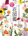 花屋さんで人気の469種 決定版 花図鑑【電子書籍】[ モンソーフルール ]