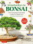 Introduction to Bonsai