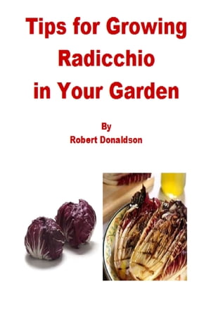 Tips for Growing Radicchio in Your Garden