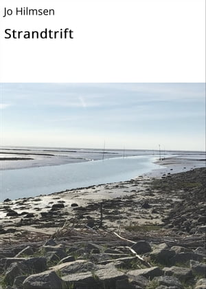 StrandtriftŻҽҡ[ Jo Hilmsen ]