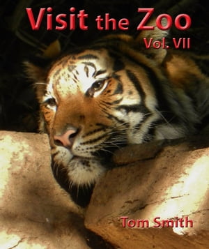 Visit the Zoo, vol. VII