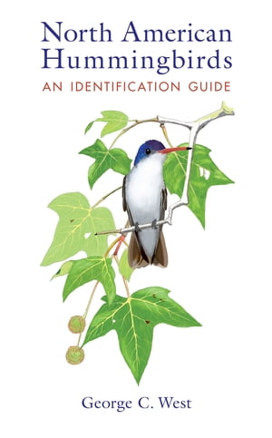 North American Hummingbirds An Identification Guide【電子書籍】[ George C. West ]