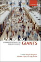 Emerging Giants China and India in the World Economy【電子書籍】