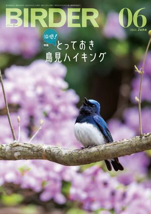 BIRDER2024年6月号【電子書籍】[ BIRDER編集部 ]