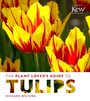 The Plant Lover's Guide to Tulips