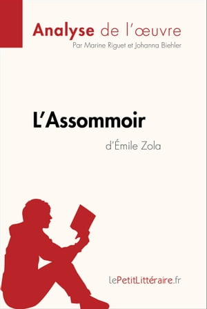 L'Assommoir d'Émile Zola (Analyse de l'oeuvre)