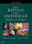 Mader's Reptile and Amphibian Medicine and Surgery- E-Book