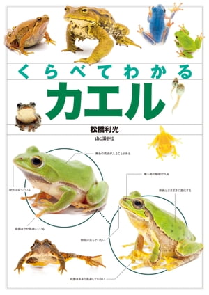 くらべてわかるカエル【電子書籍】[ 松橋 利光 ]