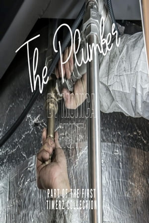 ŷKoboŻҽҥȥ㤨The PlumberŻҽҡ[ Monica Hunt ]פβǤʤ130ߤˤʤޤ