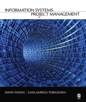 Information Systems Project Management